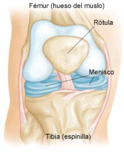 foto de rodilla